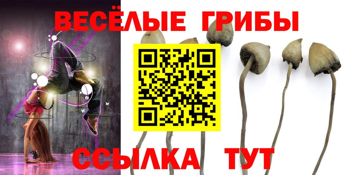 Галлюциногенные грибы Psilocybe  Вход с VPN  Калач-на-Дону 
