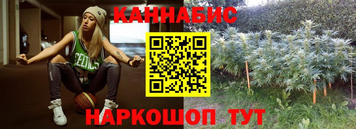 Каннабис AK-47 Калач-на-Дону